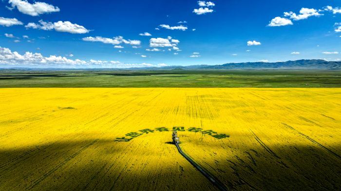 DJI_20260713154921_0368_D