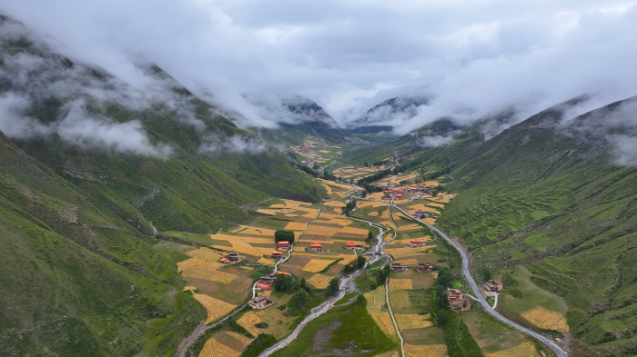 全景2.png